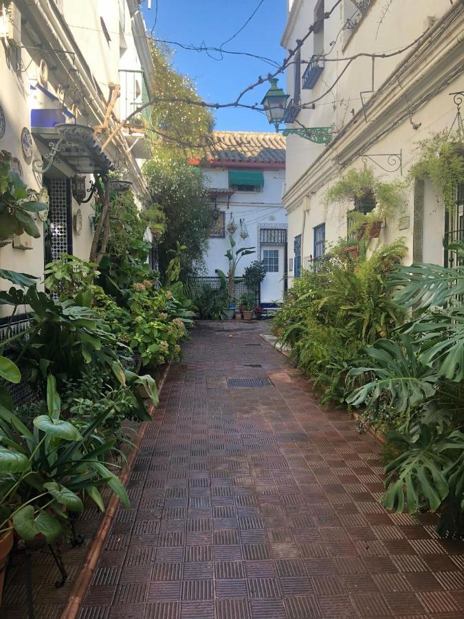 Charming House In Triana,Best City View From Patio Севилья Экстерьер фото