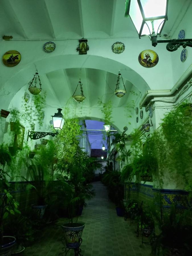 Charming House In Triana,Best City View From Patio Севилья Экстерьер фото